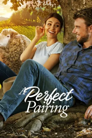 A Perfect Pairing 2022 Poster